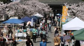 2018年3月31日(土)に開催された「寺集 (てらつど)@鎌倉光明寺」のフォトギャラリーをアップいたしました。